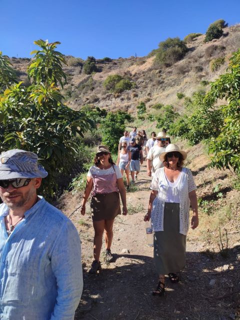 La Herradura Coffee Farm: tour in Europe's only plantation - Walking through coffee, mangoes, and rare fruit