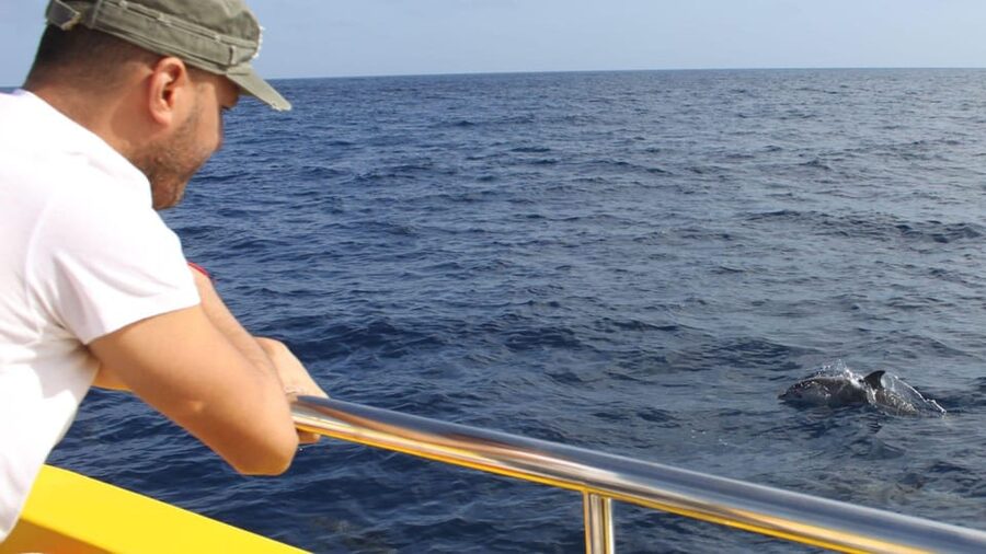 Lanzarote: 2.5-Hour Sunset and Dolphins Cruise - Setting out from Puerto del Carmen