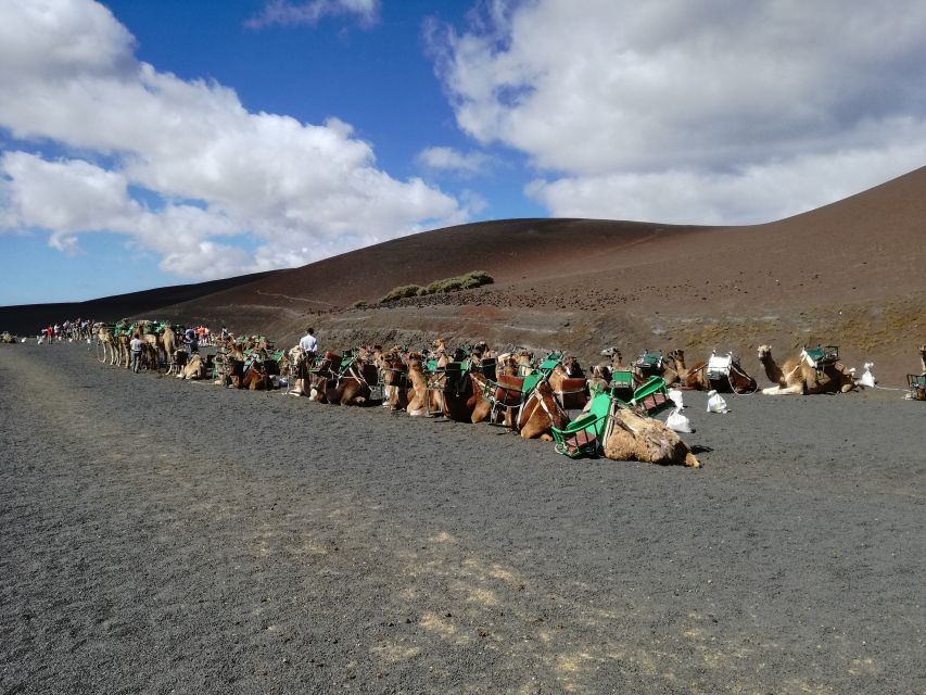 Lanzarote: 5-Hour Timanfaya National Park Southern Tour - Timanfaya National Park and the Fire Mountains