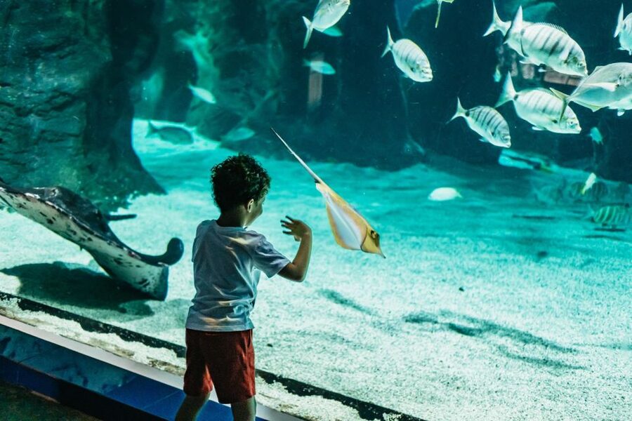 Lanzarote: Aquarium Entry Ticket - Key points before you go