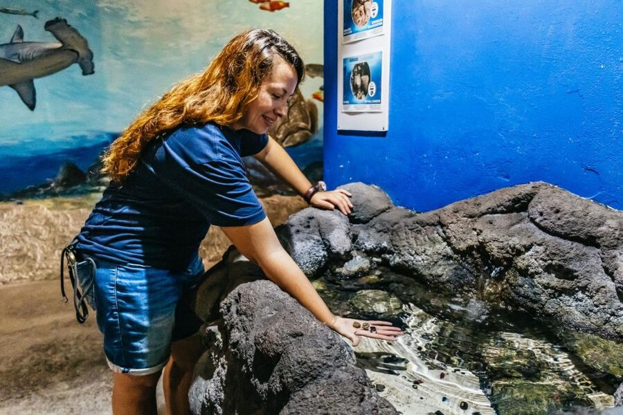 Lanzarote: Aquarium Entry Ticket - Staff and the self-guided format
