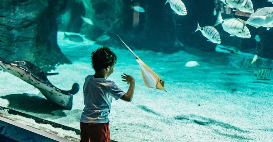 Lanzarote: Aquarium Entry Ticket - What the $18 ticket gets you
