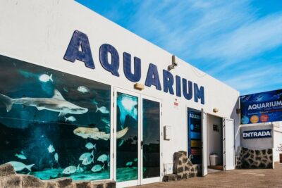 Aquarium Entry Ticket