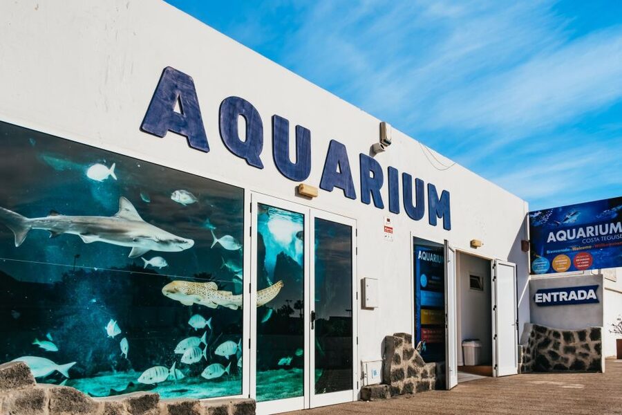 Lanzarote: Aquarium Entry Ticket - Start with the Canary Islands tanks