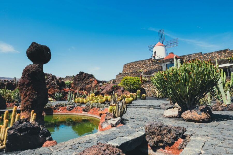 Lanzarote: César Manrique Full-Day Tour - Jameos del Agua: a cave turned into a cultural space