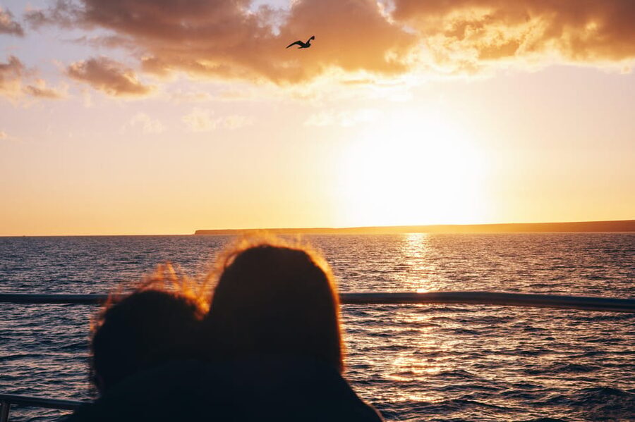 Lanzarote: Dolphin-Watching Sunset Cruise with Transfers - Leaving Puerto del Carmen as the light softens