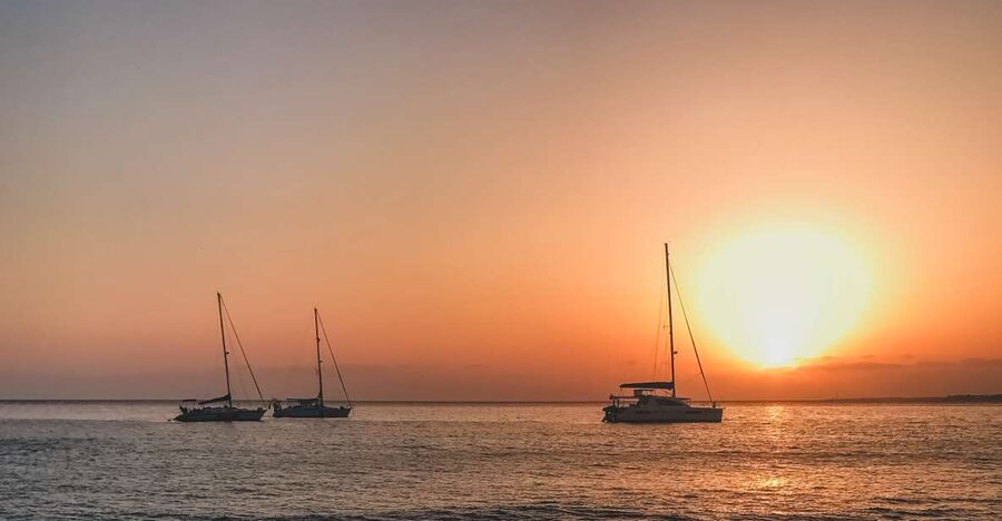 Lanzarote: Dolphin-Watching Sunset Cruise with Transfers - Searching for dolphins along the Puerto del Carmen coast