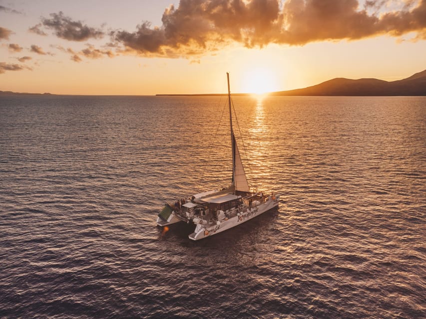 Lanzarote: Dolphin-Watching Sunset Cruise with Transfers - Why the catamaran makes a difference
