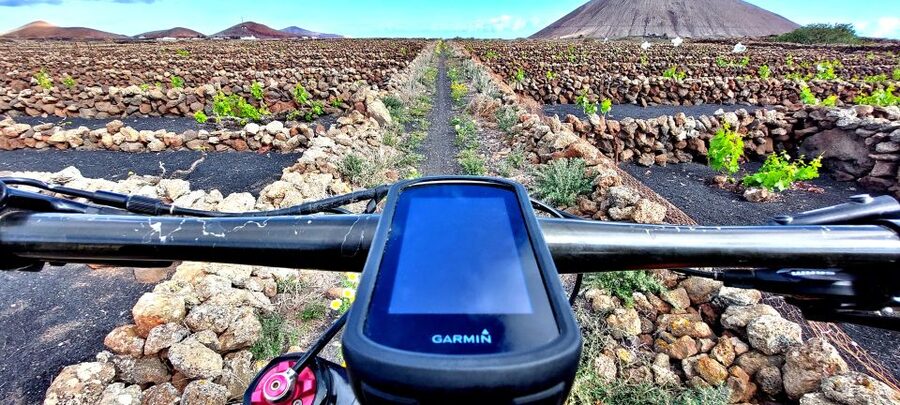 Lanzarote E-Bike Tour: Volcano Craters & Scenic Vineyards - La Geria, where vineyards grow in ash