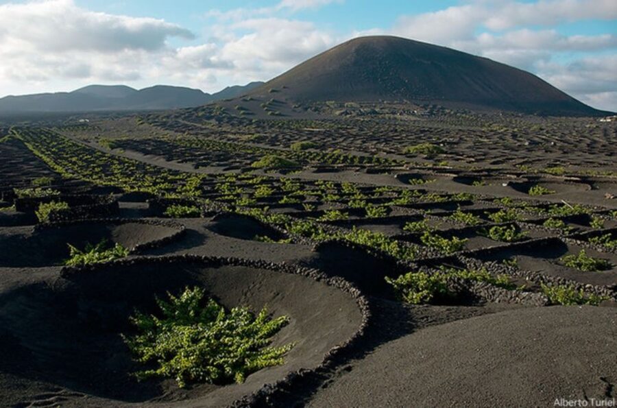 Lanzarote: Full Day Bus Tour with Scenic Views - Key points to know before booking
