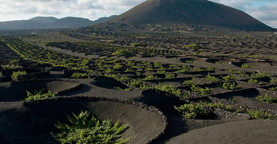 Lanzarote: Full Day Bus Tour with Scenic Views - What this Lanzarote bus tour covers in eight hours