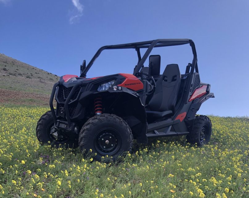 Lanzarote: Guided Can-Am Trail Buggy Tour - Key points at a glance