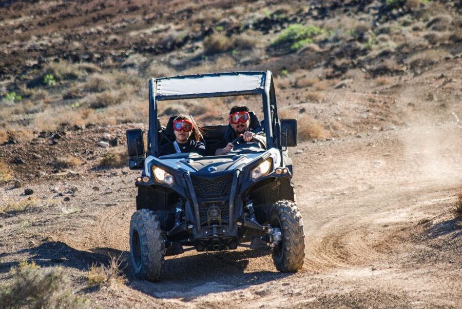 Lanzarote: Guided Off-Road Volcano Buggy Tour - Who should book this Lanzarote buggy tour?