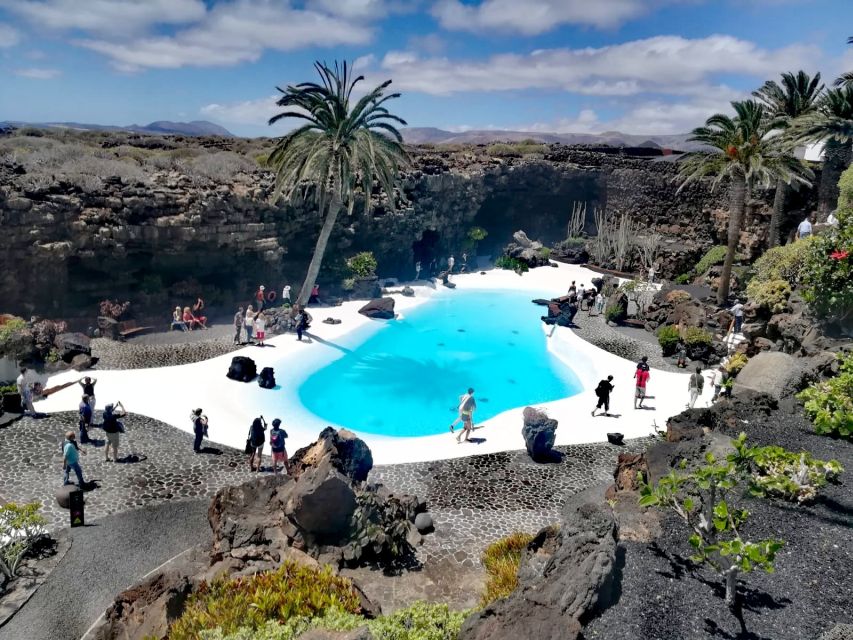 Lanzarote: Jameos del Agua & North Island for Cruise Guests - Key points to know before you book