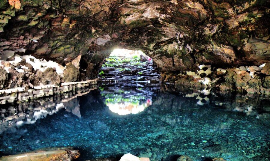 Lanzarote: Jameos del Agua & North Island for Cruise Guests - What the bus ride adds to the experience