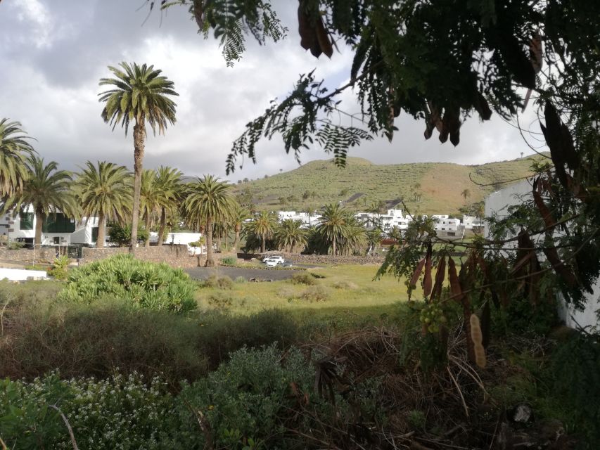 Lanzarote: Jameos del Agua & North Island for Cruise Guests - Is the $47 price good value?