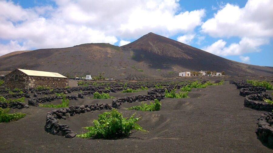 Lanzarote: La Geria Vineyards Hiking Tour - Climbing Gaida for Lanzarote views