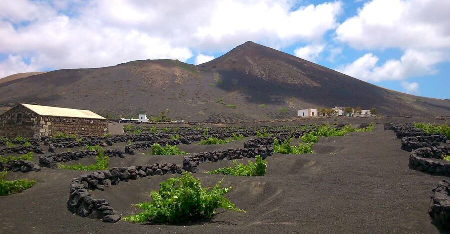 Lanzarote: La Geria Vineyards Hiking Tour - What the guides add to the morning