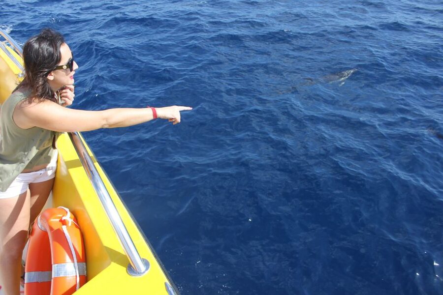 Lanzarote: Lobos Island Half-Day Dolphin Watching Trip - Arriving at Lobos Island