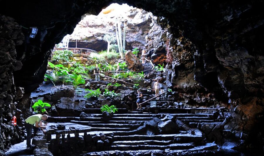 Lanzarote: Northern Half-Day Trip - Who Will Get the Most From This Tour