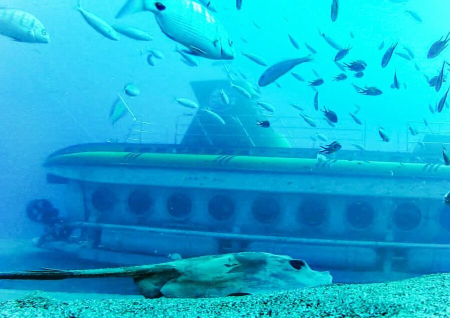 Lanzarote: Real Submarine Dive with Hotel Pickup - Shipwrecks on the ocean floor
