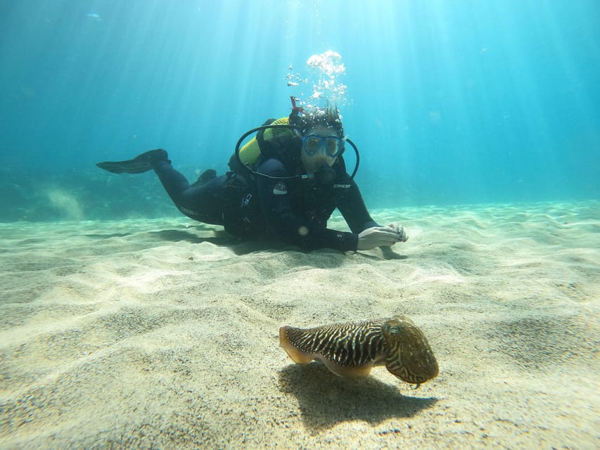 Lanzarote: Scuba Diving for Beginners - 1 Dive - A shallow site built for your first attempt