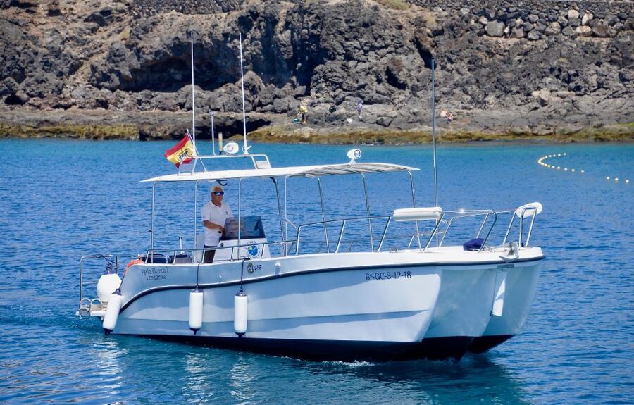 Lanzarote: Sea Safari Experience - Who will enjoy this sea safari most?