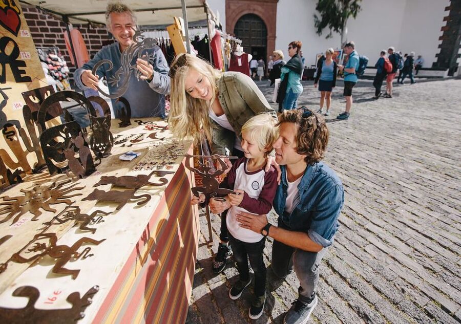 Lanzarote: Teguise Handicraft Market and La Graciosa Island - Who will enjoy this tour most?