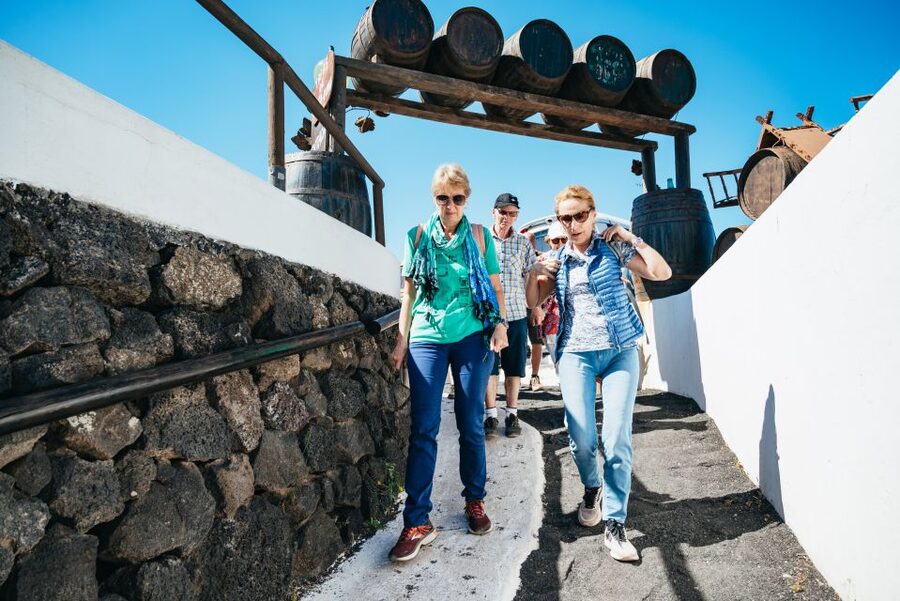 Lanzarote: Timanfaya National Park & La Geria Tour - What the $72 price covers