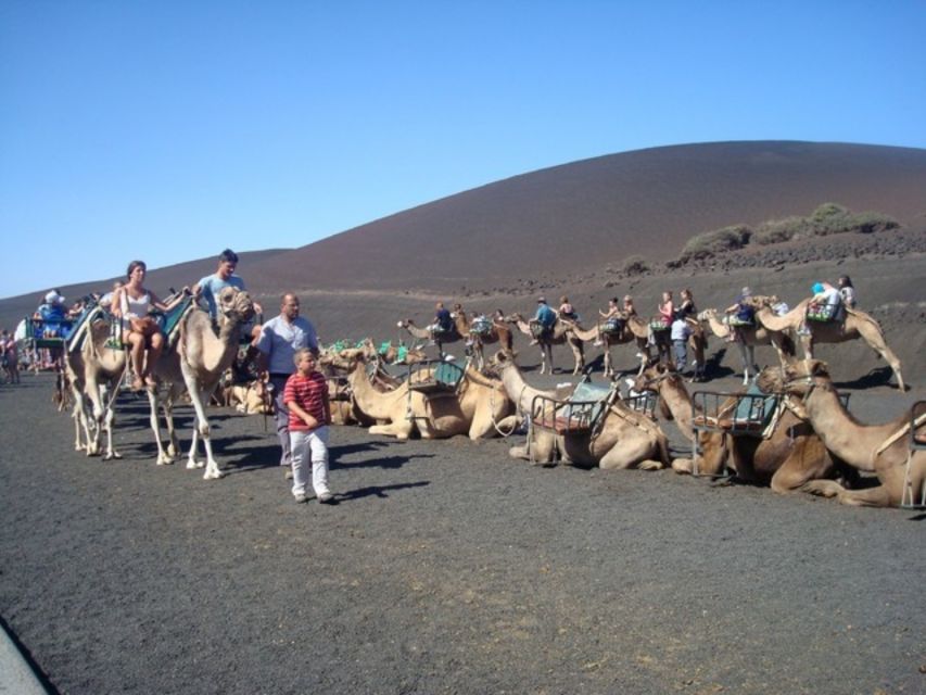 Lanzarote: Timanfaya National Park Tour - Key points to know before booking