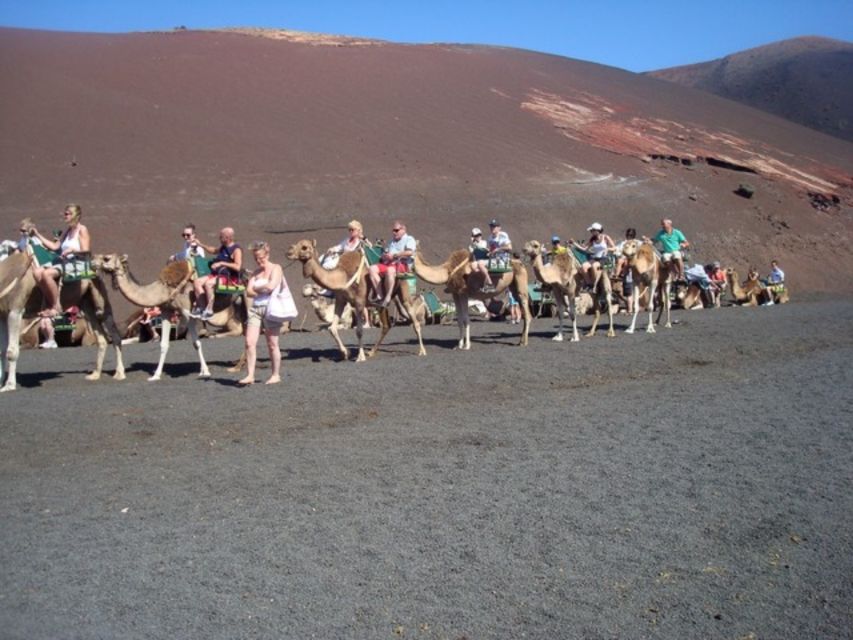 Lanzarote: Timanfaya National Park Tour - Geothermal demonstrations at the summit