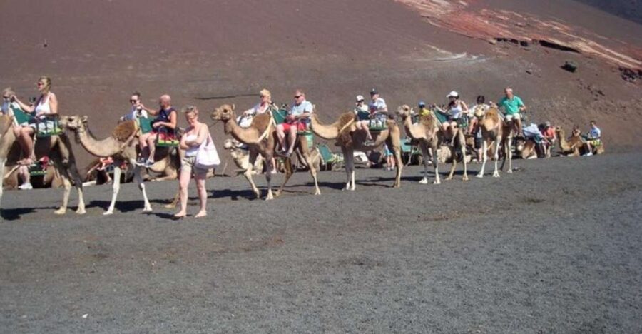 Lanzarote: Timanfaya National Park Tour - The coach pickup and six-hour schedule