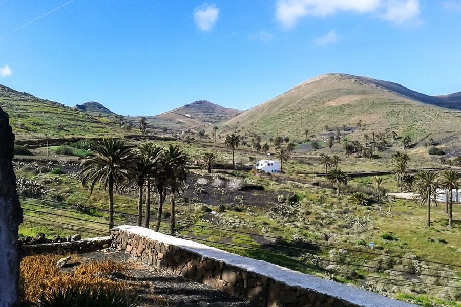 Lanzarote: Timanfaya Park and Jameos del Agua Full-Day Tour - The five things to know before booking