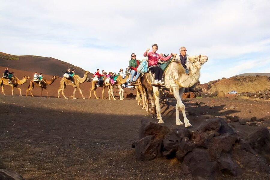 Lanzarote: Timanfaya Park and Jameos del Agua Full-Day Tour - Why this tour works for a first day in Lanzarote