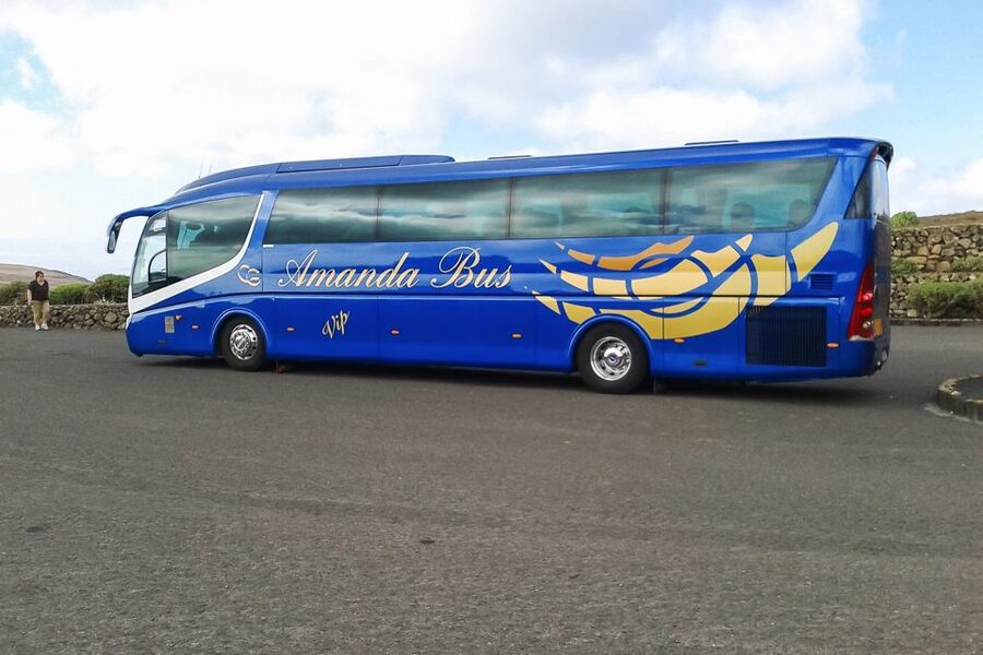 Lanzarote: Timanfaya Park and Jameos del Agua Full-Day Tour - Who will enjoy this Lanzarote day trip?