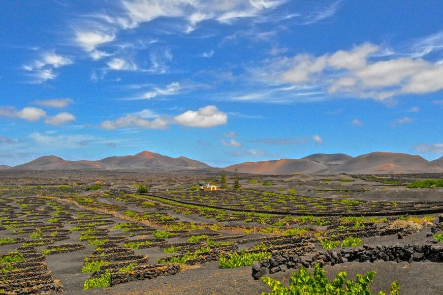 Lanzarote: Volcanos of Timanfaya and Caves Tour with Lunch - El Golfo and the famous green lagoon