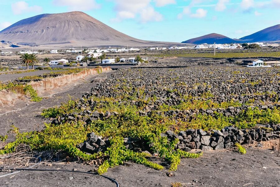 Lanzarote: Volcanos of Timanfaya and Caves Tour with Lunch - Yaiza lunch, useful but not leisurely