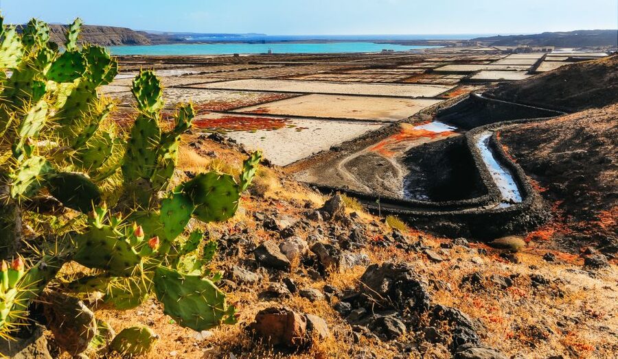 Lanzarote: Volcanos of Timanfaya and Caves Tour with Lunch - Along the lava coast to Janubio and Los Hervideros