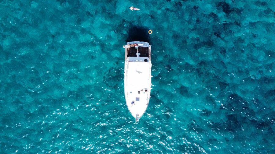 Las Galletas: Whale & Dolphin Tour with Local Skipper - Who should book this tour?