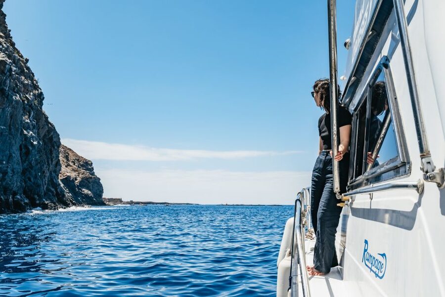 Las Galletas: Whale & Dolphin Tour with Local Skipper - A homemade lunch on the water
