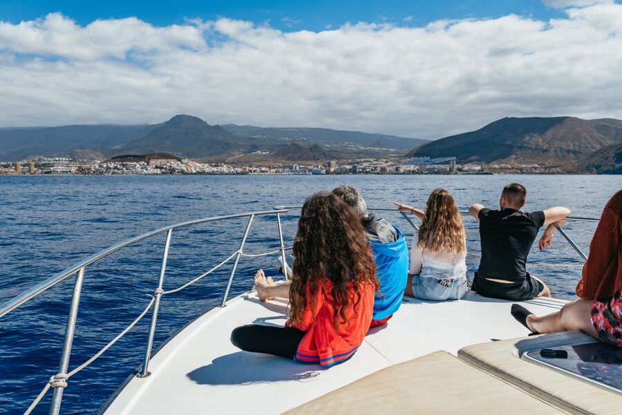 Las Galletas: Whale & Dolphin Tour with Local Skipper - The return past Punta de Rasca