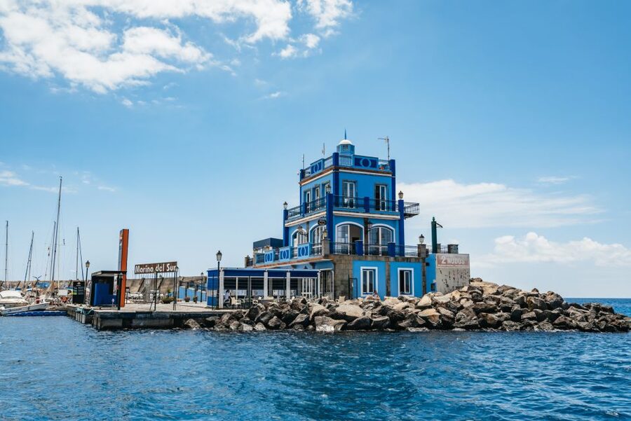 Las Galletas: Whale & Dolphin Tour with Local Skipper - Is $69 a fair price?