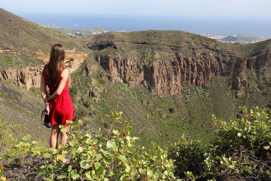 Las Palmas, Botanical Gardens and Bandama Volcano Tour - Guide quality and language arrangements