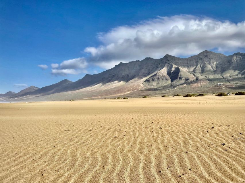 Las Palmas: Fuerteventura Cofete Beach and Desert Safari - Why Cofete is worth the rough road