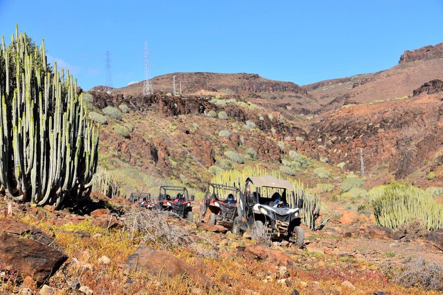 Las Palmas: Gran Canaria Guided Buggy Tour - Key points to know before booking