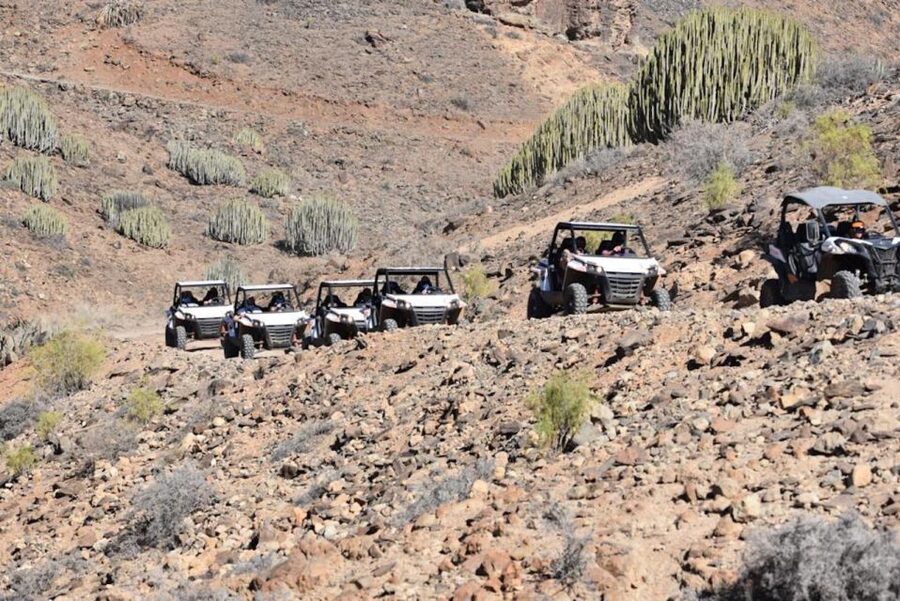 Las Palmas: Gran Canaria Guided Buggy Tour - What this Gran Canaria buggy tour is really like