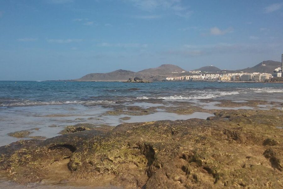 Las Palmas: Las Canteras Beach Snorkeling Trip - Meeting at Emoción Apnea and getting ready