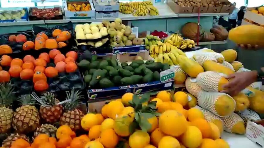 Las Palmas: Private Old City Guided Walking Tour with Tapas - Languages, timing, and practical details
