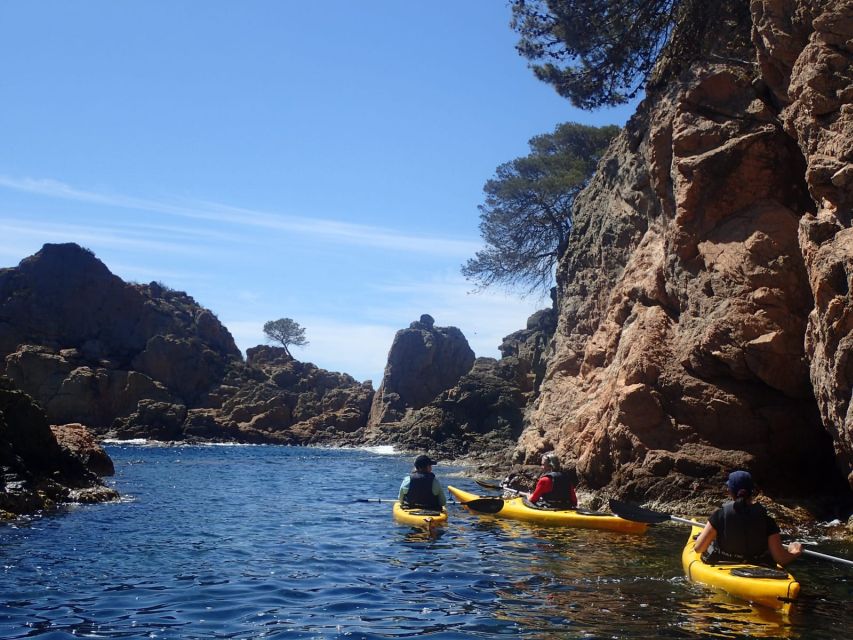 Lloret de Mar: 3-Hour Kayak and Snorkel Tour on Costa Brava - Reaching a cove that is difficult to visit by land