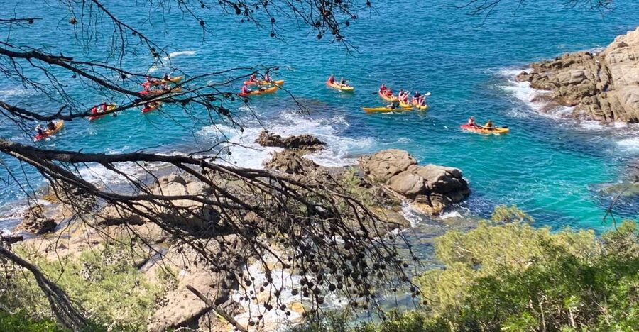Lloret de Mar: 3-Hour Kayak and Snorkel Tour on Costa Brava - What $59 means for the value